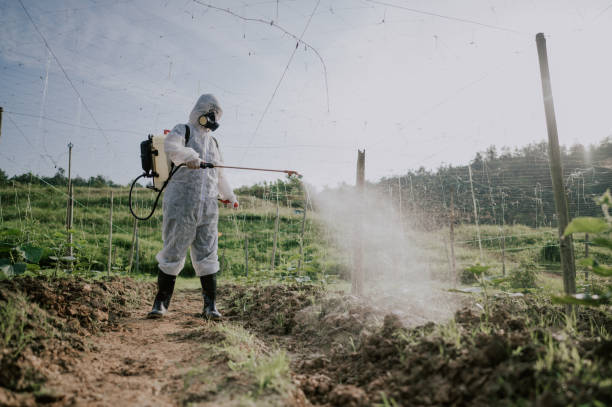 Best Pest Control Treatment  in Roland, IA