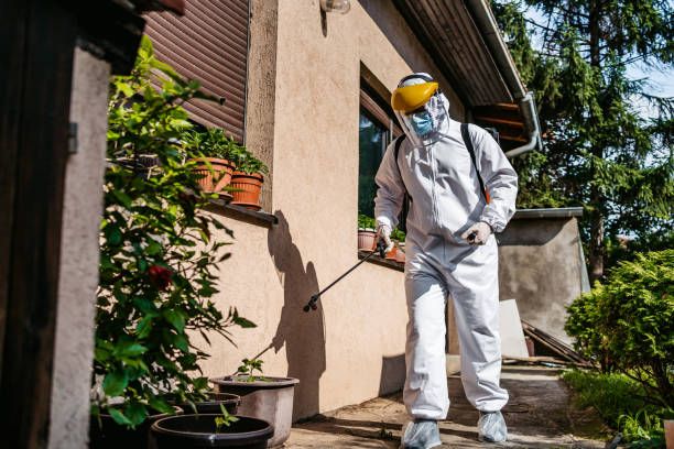 Best Cockroach Control Services  in Roland, IA