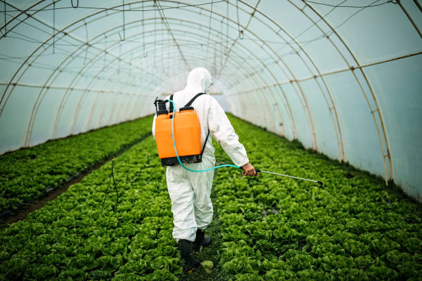 Best Residential Pest Control  in Roland, IA