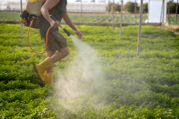 Best Pest Prevention Services  in Roland, IA