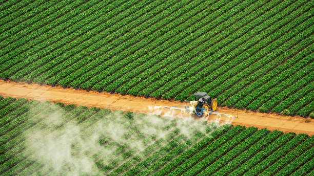 Best Pest Inspection Near Me  in Roland, IA