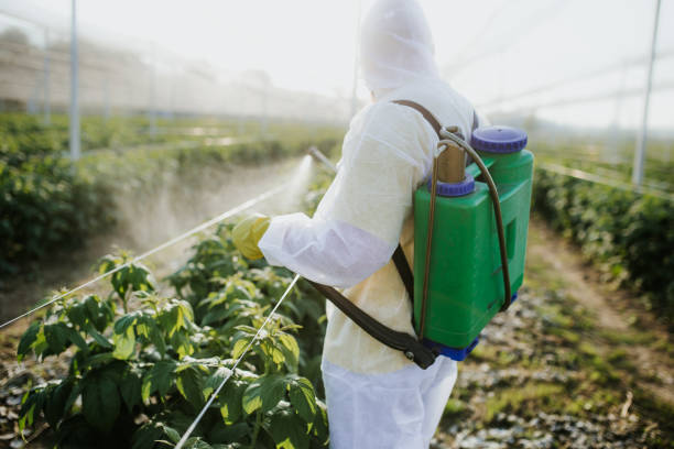 Best Mosquito Control Services  in Roland, IA